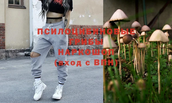 крисы Каменка