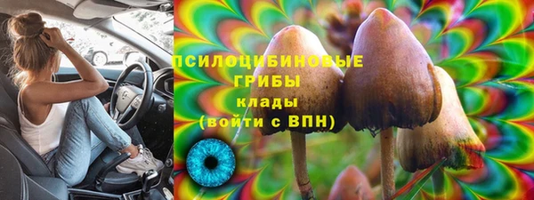 МДПВ Медвежьегорск