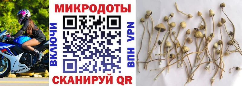 купить наркоту  KRAKEN онион  Галлюциногенные грибы прущие грибы  darknet клад  Калининград 