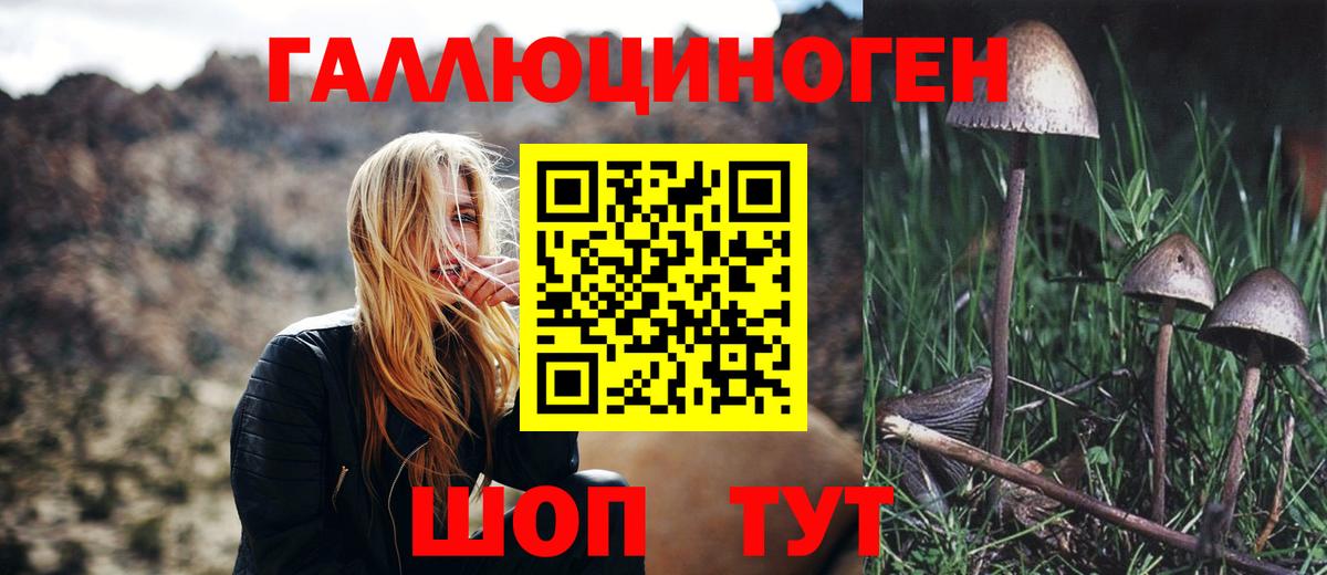 Псилоцибиновые грибы мухоморы  Вход с VPN  цена наркотик  Калининград 